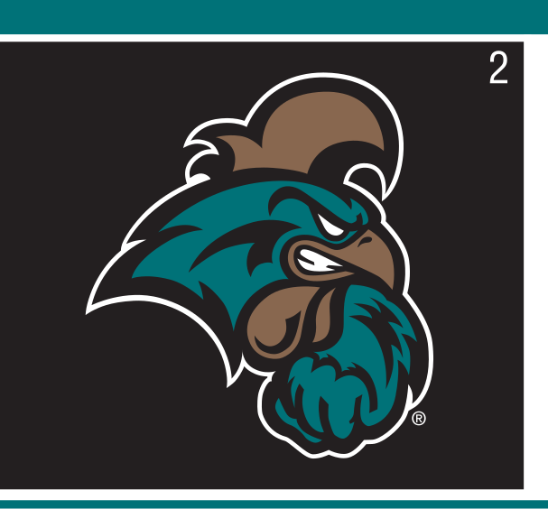 Chanticleer head, full color on black variant, cell 2