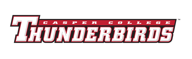Thunderbirds wordmark, full color variant, cell 3
