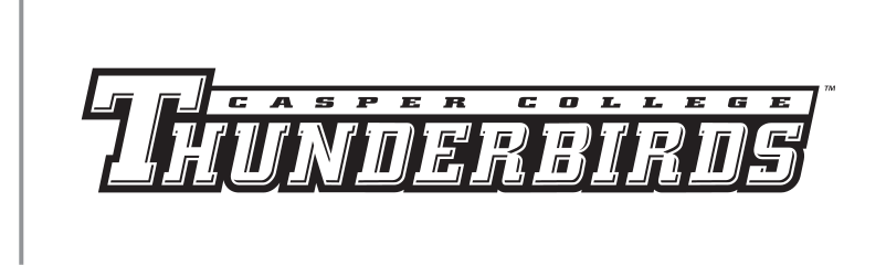 Thunderbirds wordmark, black variant, cell 4