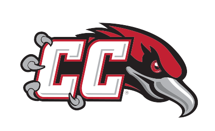CC lettermark with Thunderbird head, full color variant, cell 5