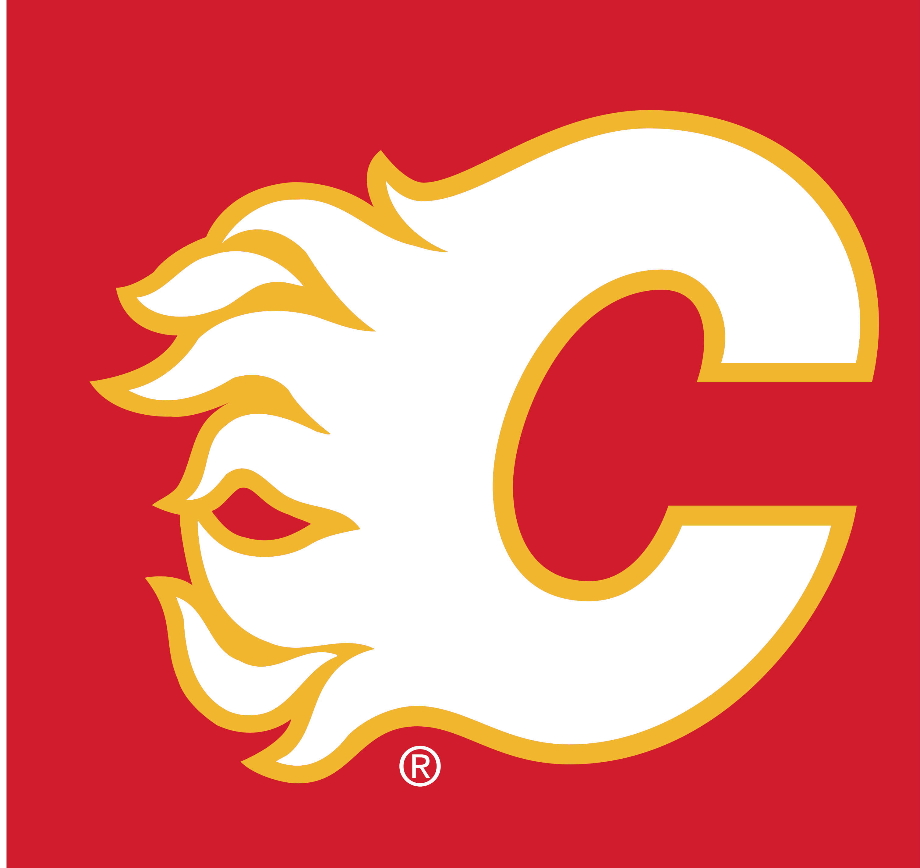 CALGARY FLAMES