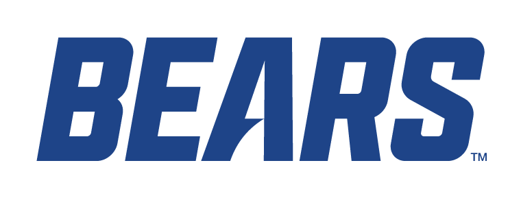 BEARS wordmark, blue variant, cell 12