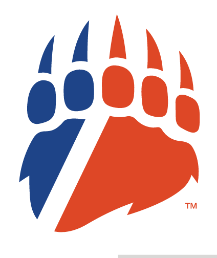 Bear paw, blue and orange variant, cell 19