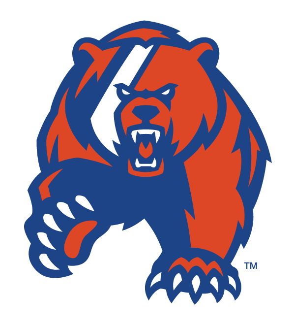 Bear mascot, blue and orange variant, cell 22