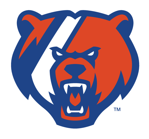 Bear head, blue and orange variant, cell 24