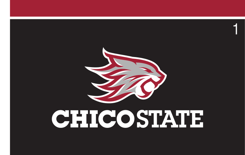 California State University, Chico (CHI)