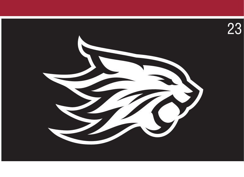 Wildcat head mark, white/black head, black background variant, cell 23