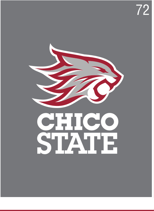 Chico State stacked mark, color on grey background variant, cell 72