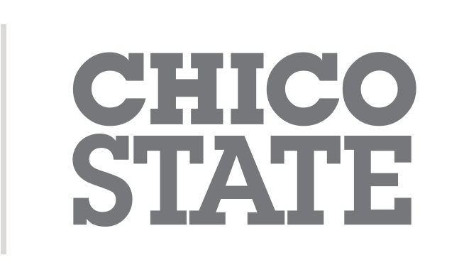 Chico State horizontal wordmark, grey on white background variant, cell 82