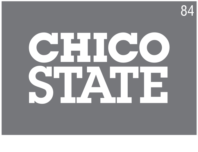 Chico State horizontal wordmark, white on grey background variant, cell 84