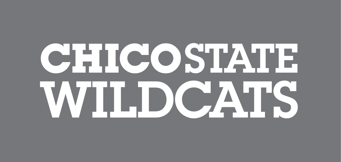 Chico State Wildcats wordmark, white horizontal on grey variant, cell 91