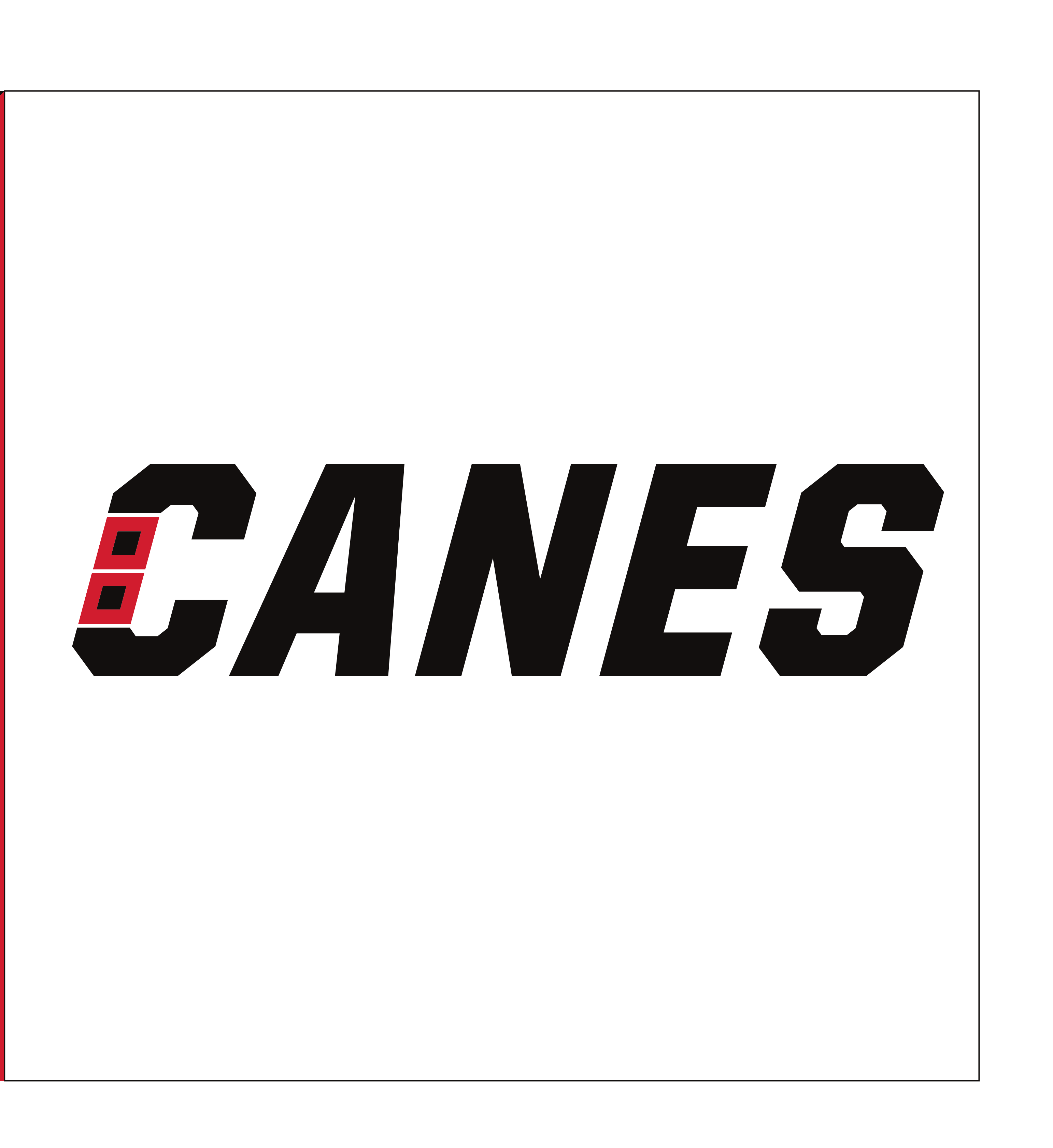 CANES wordmark, print version, black on white variant