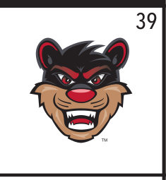 Bearcat head, color variant, cell 39