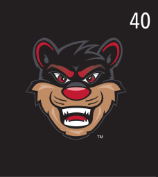 Bearcat head, color on black variant, cell 40