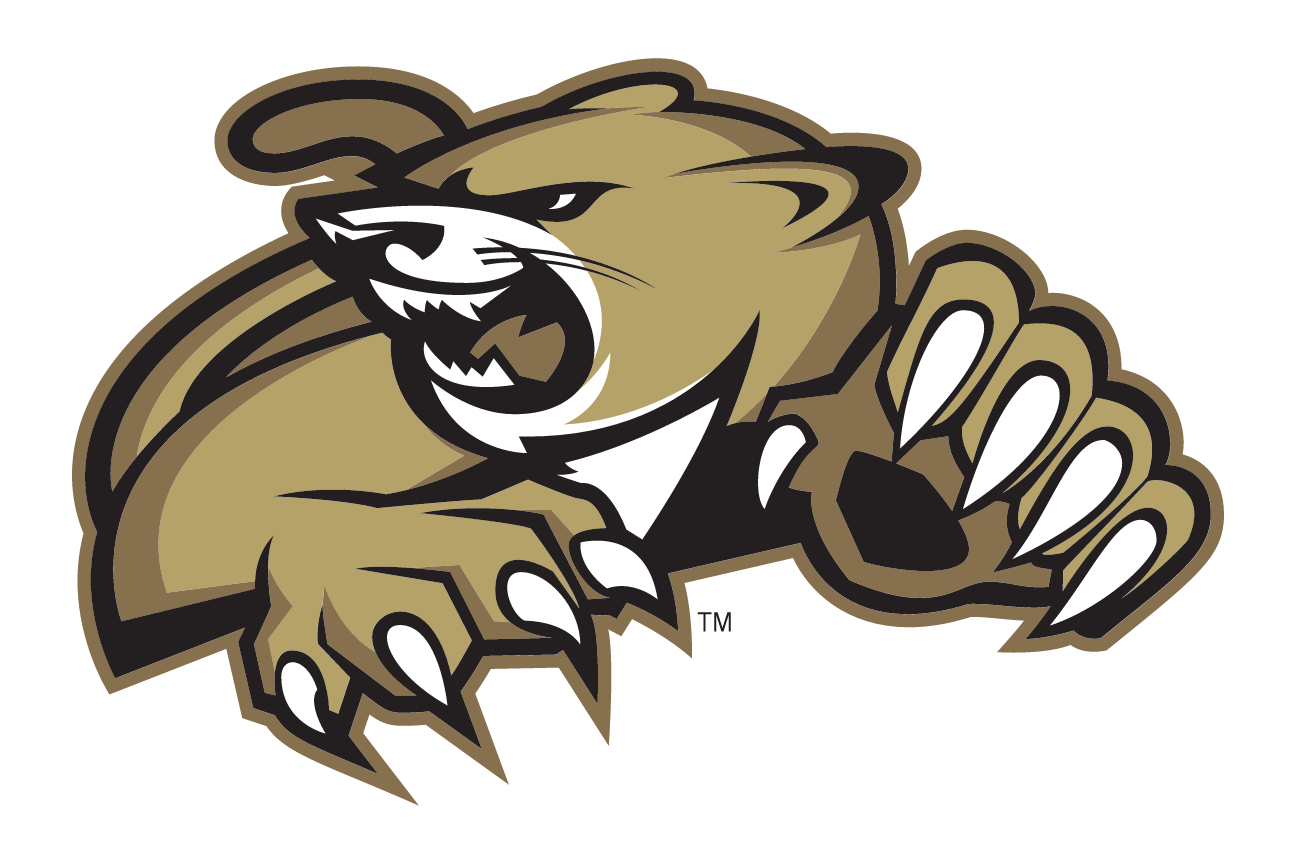 cougar head mark, color variant, cell 72