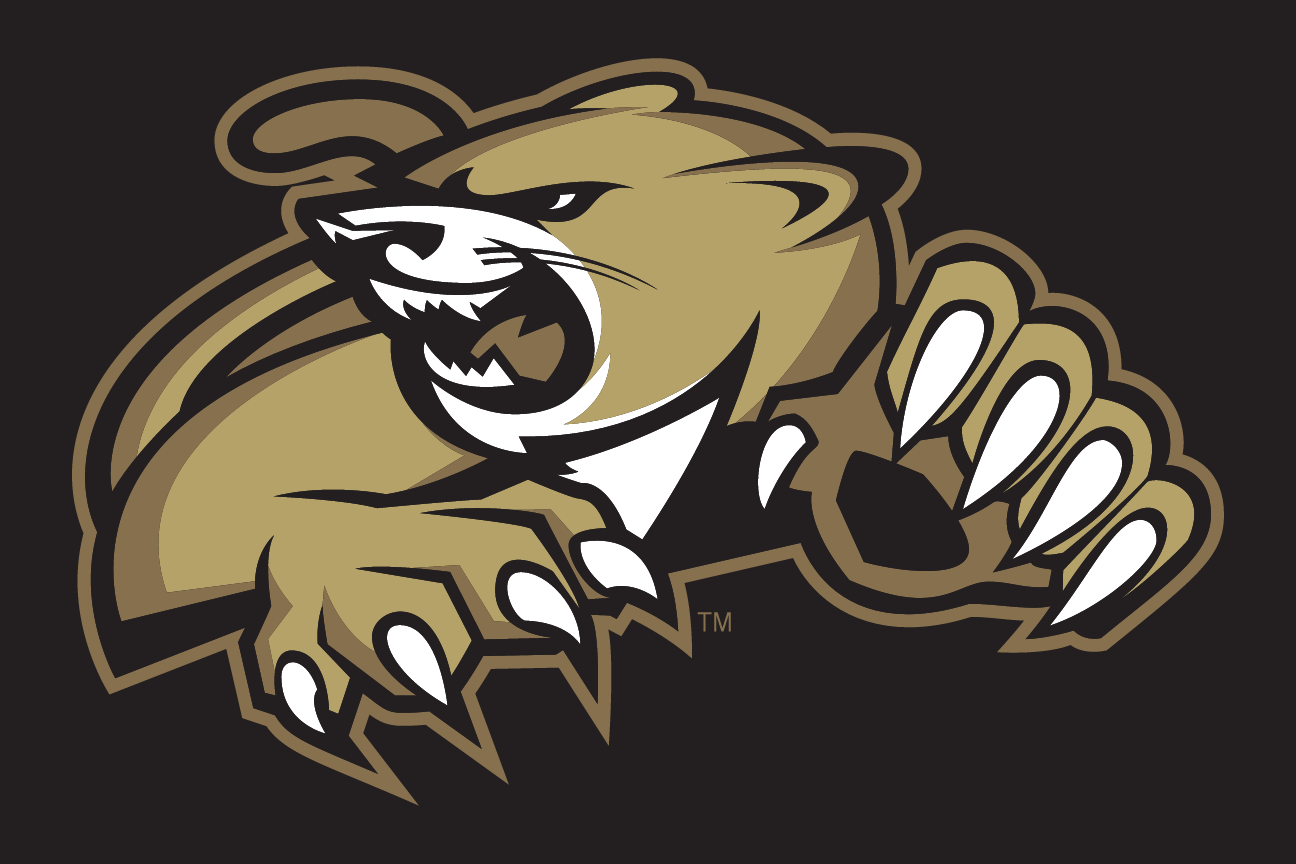 cougar head mark, color on dark variant, cell 73