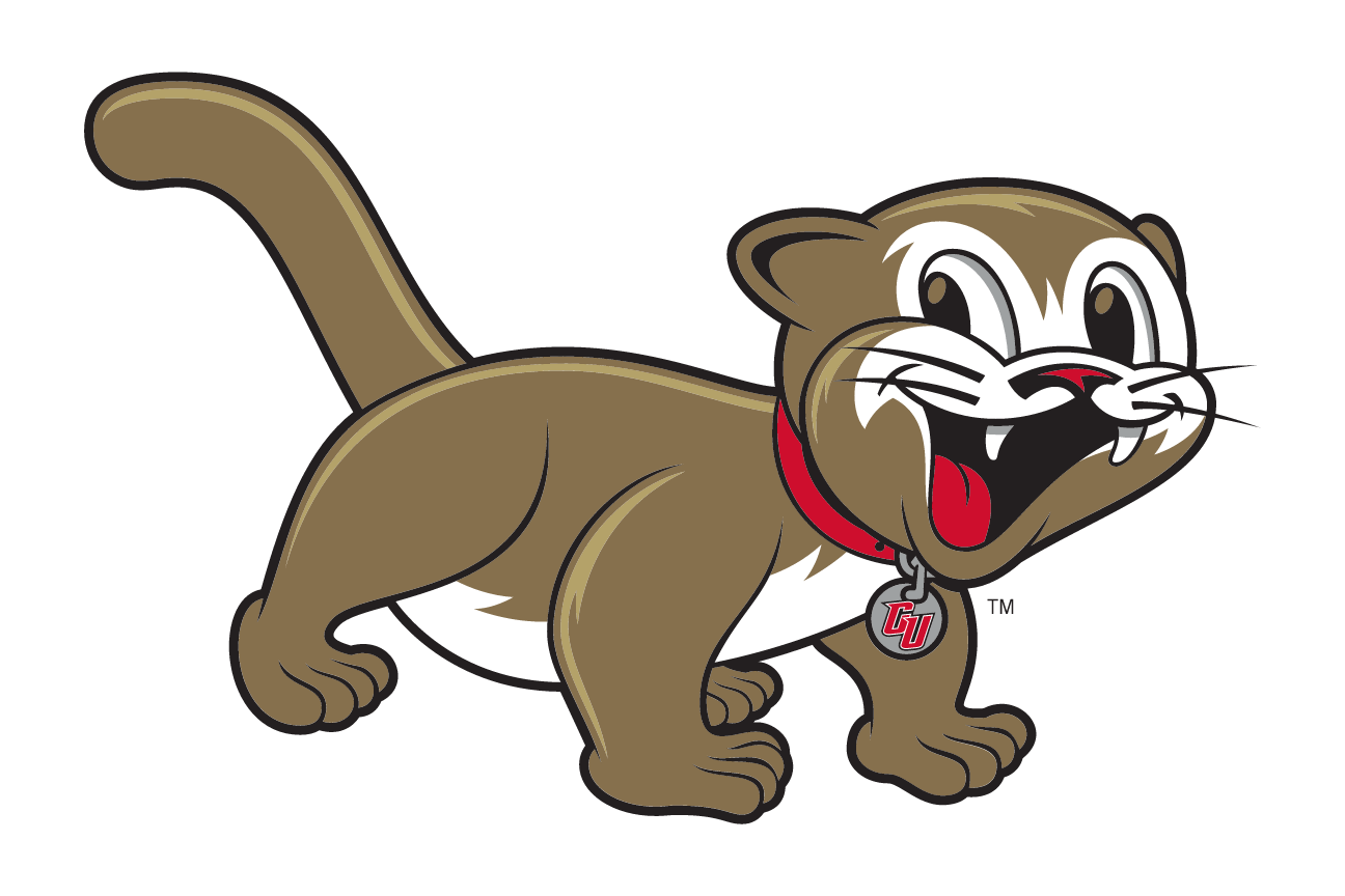 youth cougar mascot, full body, color variant, cell 84