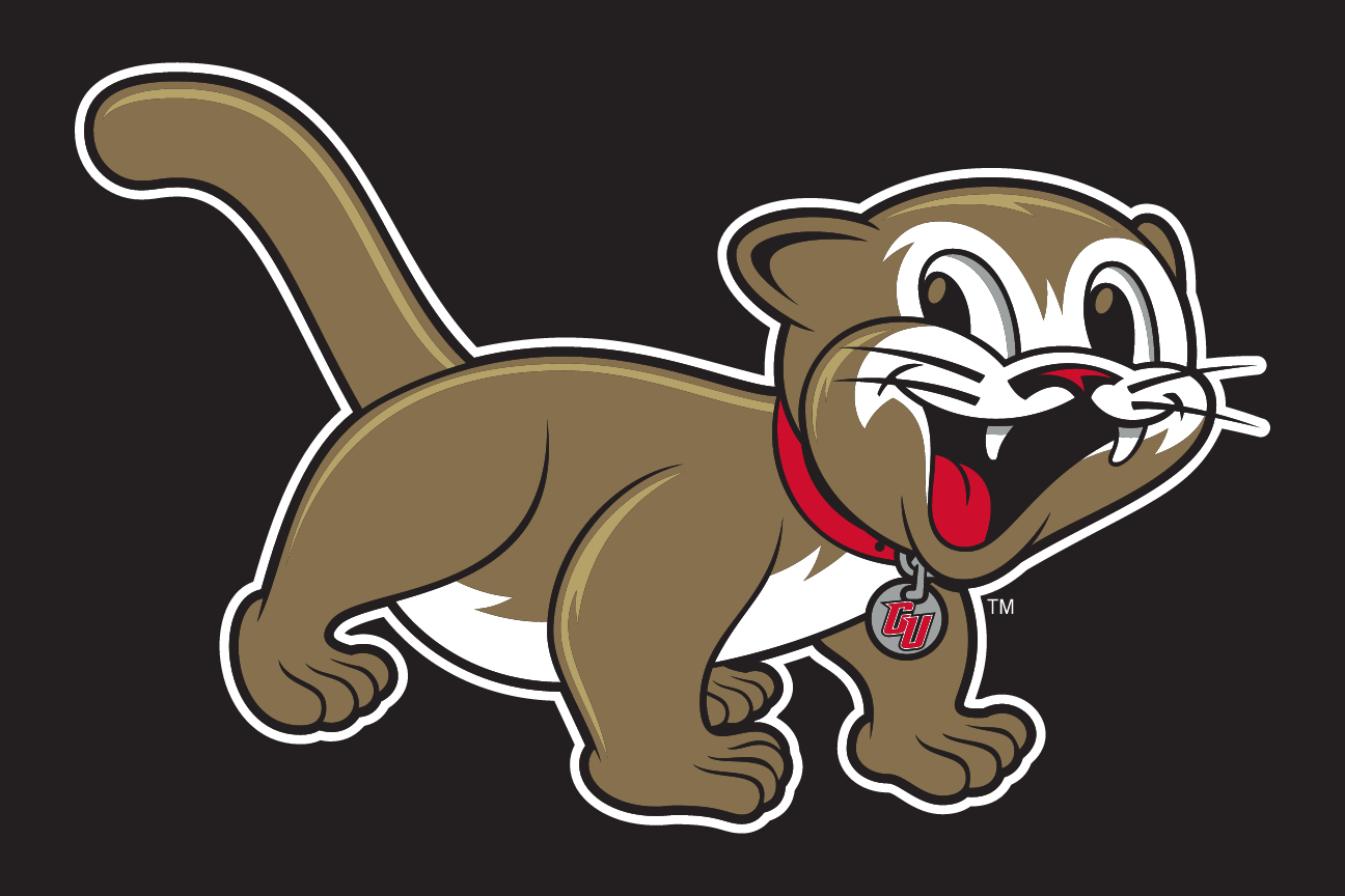 youth cougar mascot, full body, color on dark variant, cell 85