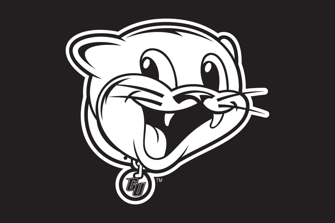 youth cougar mascot head, black/white on dark variant, cell 91