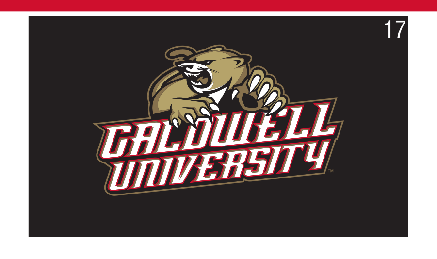 Caldwell University athletic mark, full color reverse variant, cell 17