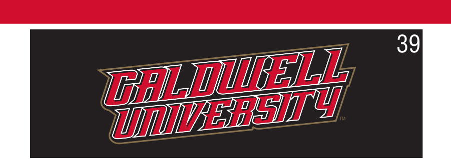 Caldwell University wordmark, arched full color reverse variant, cell 39