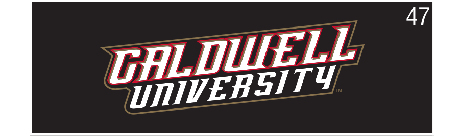 Caldwell University wordmark, straight 2-color reverse variant, cell 47