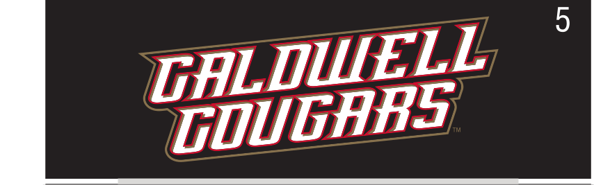 Caldwell Cougars wordmark, arched 2-color reverse variant, cell 55