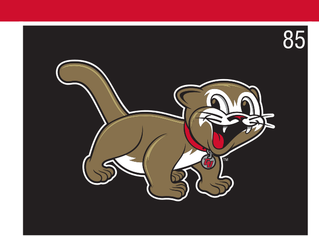 youth cougar mascot, full body, color on dark variant, cell 85