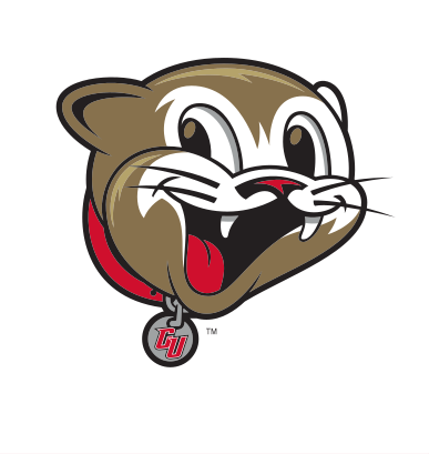 youth cougar mascot head, color variant, cell 88