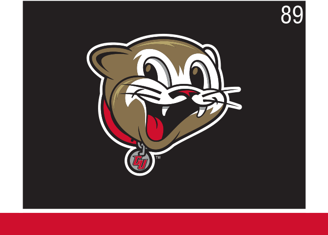 youth cougar mascot head, color on dark variant, cell 89
