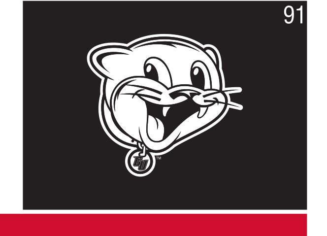 youth cougar mascot head, black/white on dark variant, cell 91