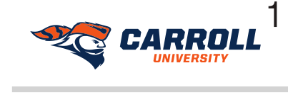 Pio Pete mascot head with horizontal wordmark, orange/blue variant, cell 19