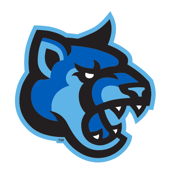 Cougar head, color variant, cell 18