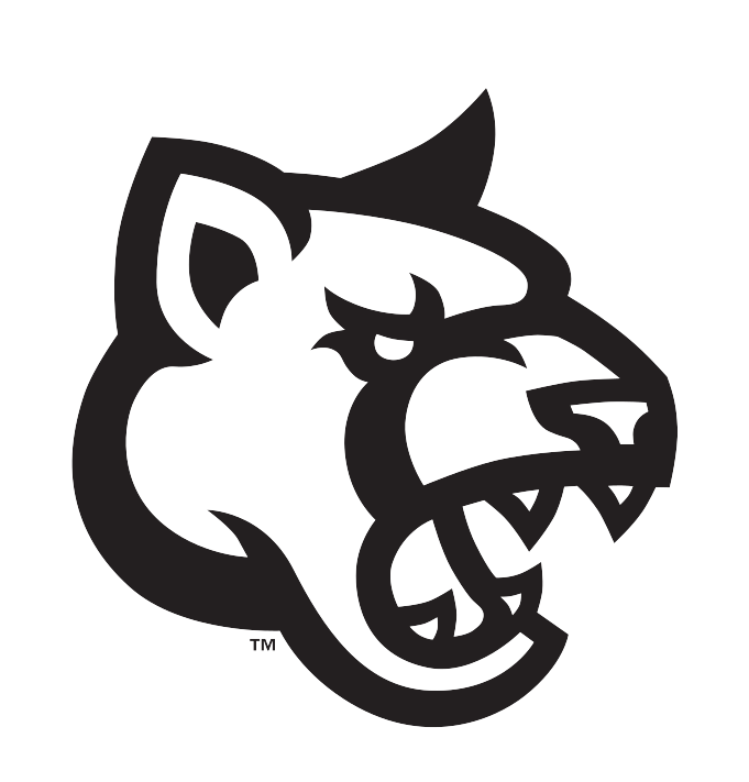 Cougar head, black and white variant, cell 19