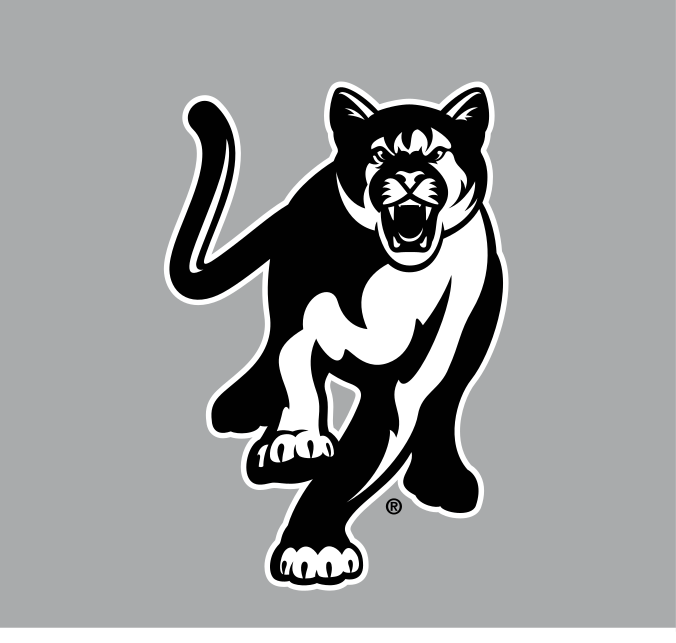 Cougar mascot, black and white on grey variant, cell 29