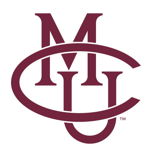 interlocking CMU, maroon one-color variant, cell 13