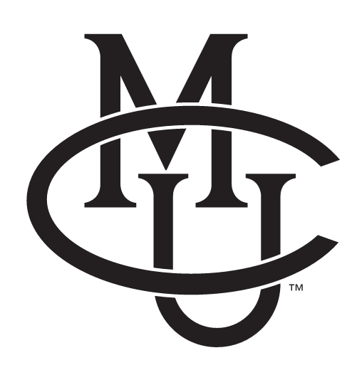 interlocking CMU, black one-color variant, cell 15