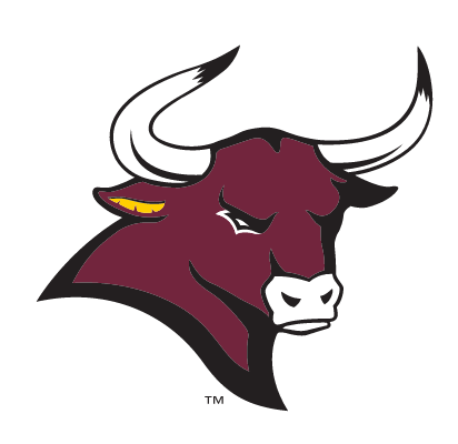 Rowdy mascot head, full color variant, cell 30