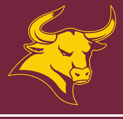 Rowdy mascot head, gold one-color on maroon background variant, cell 32