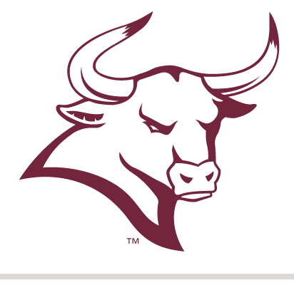 Rowdy mascot head, maroon one-color variant, cell 34