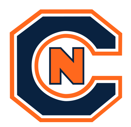C-N lettermark, full color variant, cell 14