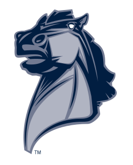 Broncho mascot head, blue and yellow variant, cell 25