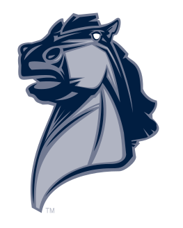 Broncho mascot head, blue and grey variant, cell 26