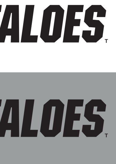 BUFFALOES wordmark, black on gray variant, cell 22