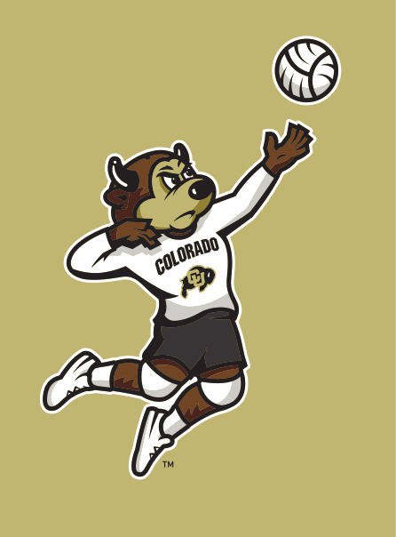 mascot Chip, volleyball, color on gold variant, cell 75