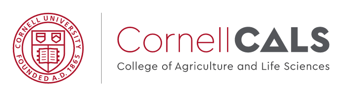 Cornell CALS, color variant, cell 401