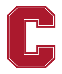 Block C, Cornell Red with white outline variant