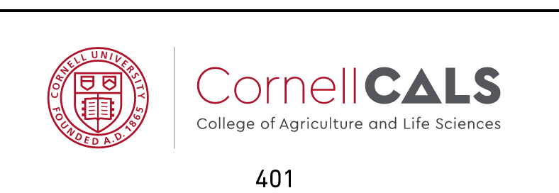 Cornell CALS, color variant, cell 401