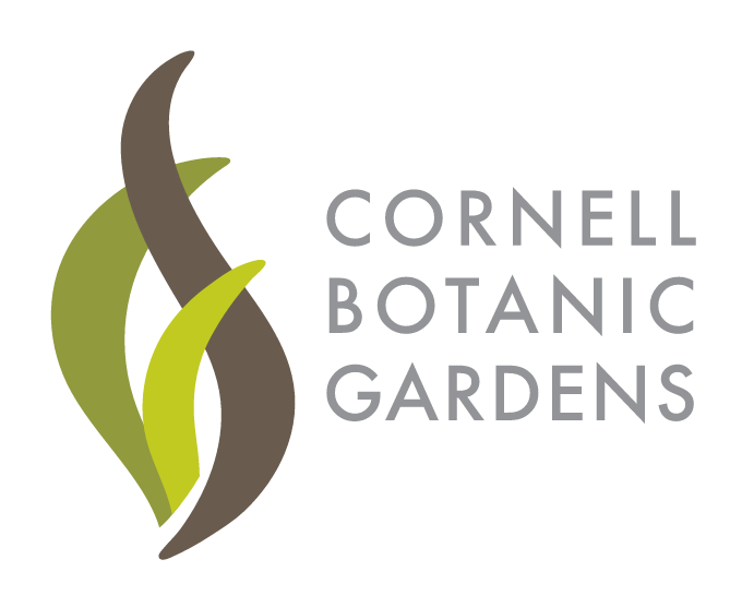 Cornell Botanic Gardens, color variant, cell 502