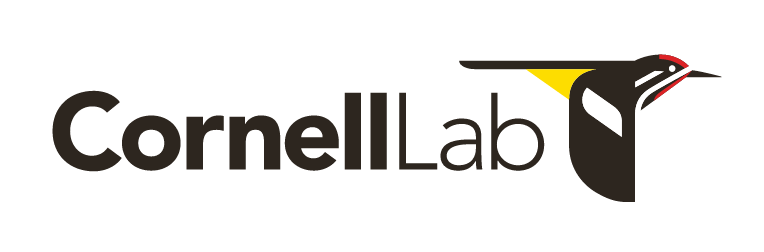 Cornell Lab, color variant, cell 505